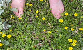 Beginner Gardener? 7 Easy Steps on How to Start Your First Garden