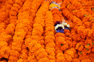 Delicious Flowers: Colorful and Healthy Ingredients for Recipes